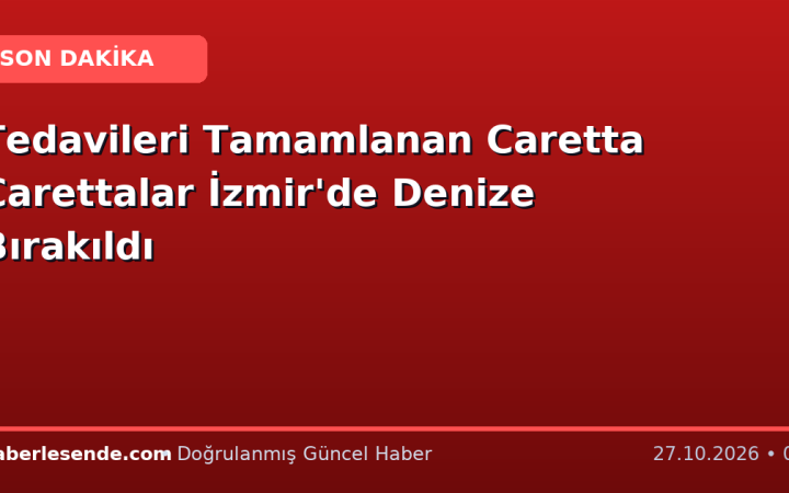 Tedavileri Tamamlanan Caretta Carettalar İzmir'de Denize Bırakıldı