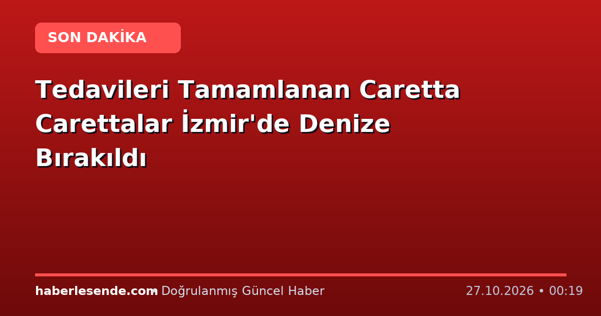 Tedavileri Tamamlanan Caretta Carettalar İzmir'de Denize Bırakıldı