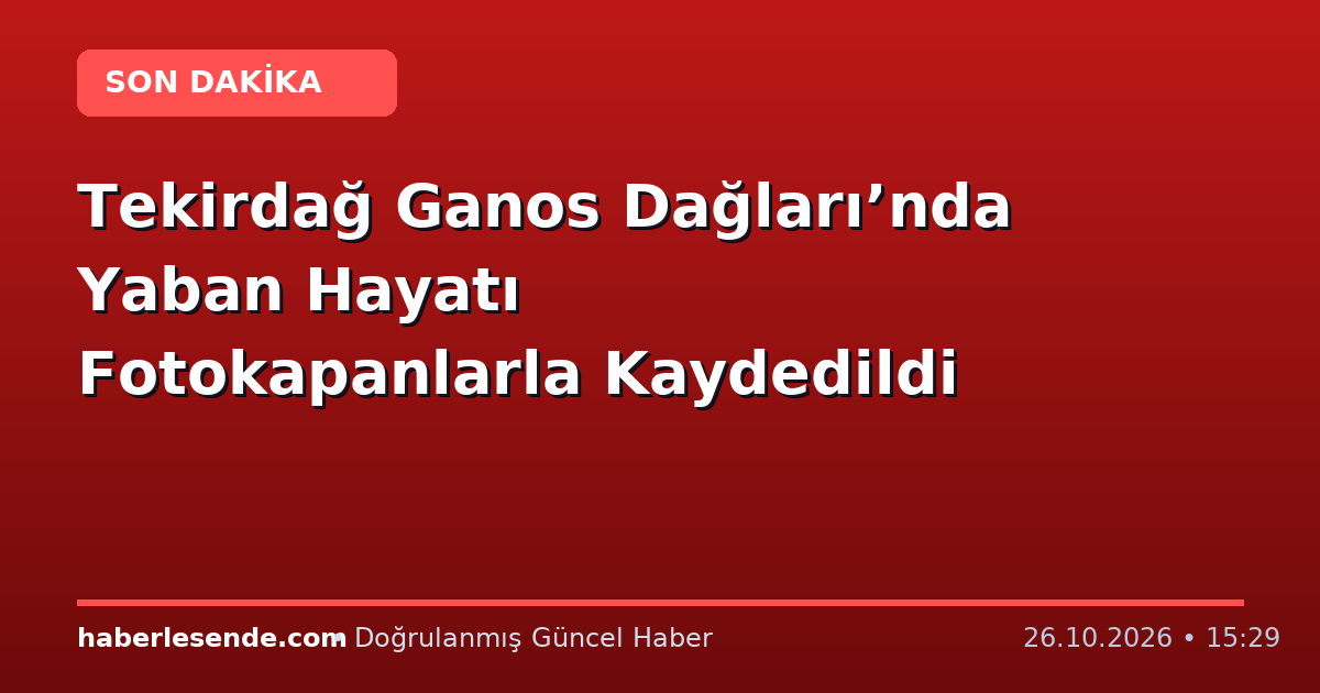 Tekirdağ Ganos Dağları’nda Yaban Hayatı Fotokapanlarla Kaydedildi