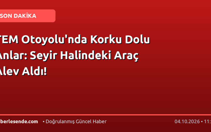 TEM Otoyolu'nda Korku Dolu Anlar: Seyir Halindeki Araç Alev Aldı!