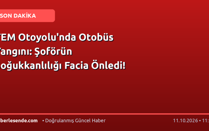 TEM Otoyolu'nda Otobüs Yangını: Şoförün Soğukkanlılığı Facia Önledi!