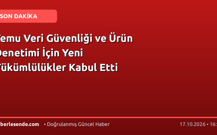 Temu Veri Güvenliği ve Ürün Denetimi İçin Yeni Yükümlülükler Kabul Etti