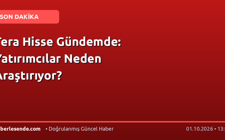 Tera Hisse Gündemde: Yatırımcılar Neden Araştırıyor?
