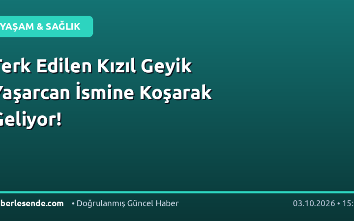 Terk Edilen Kızıl Geyik Yaşarcan İsmine Koşarak Geliyor!