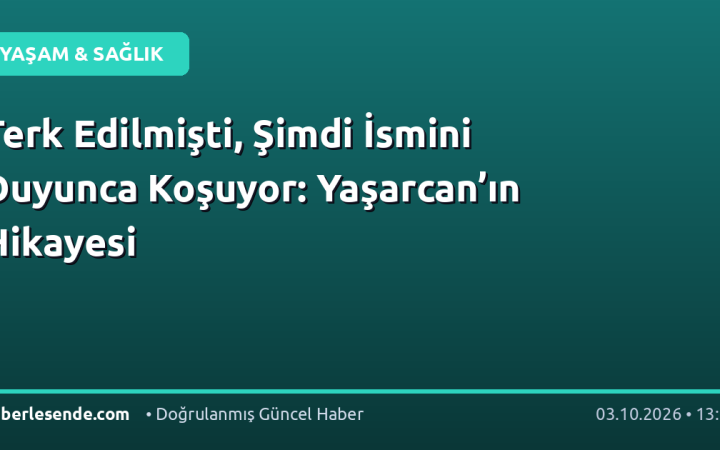 Terk Edilmişti, Şimdi İsmini Duyunca Koşuyor: Yaşarcan’ın Hikayesi