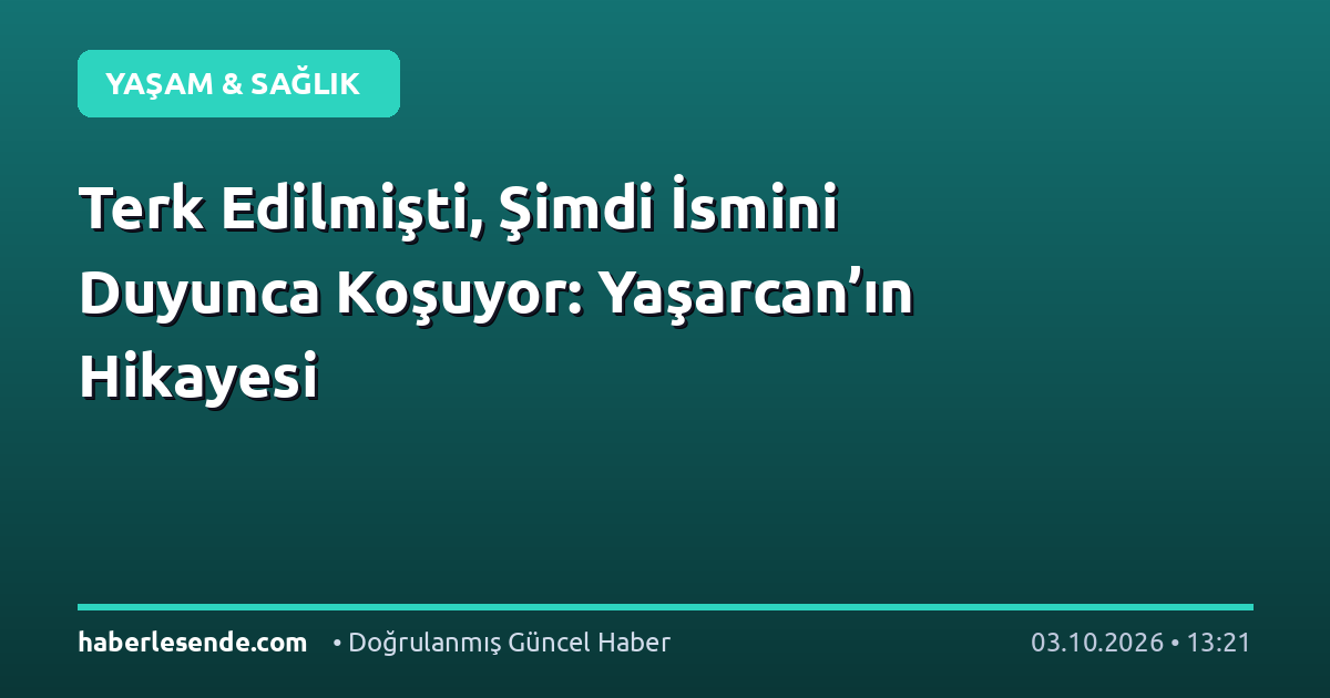 Terk Edilmişti, Şimdi İsmini Duyunca Koşuyor: Yaşarcan’ın Hikayesi