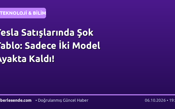 Tesla Satışlarında Şok Tablo: Sadece İki Model Ayakta Kaldı!