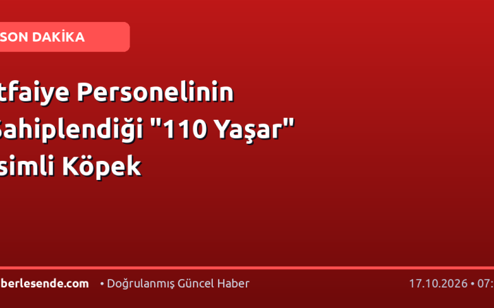 İtfaiye Personelinin Sahiplendiği "110 Yaşar" İsimli Köpek