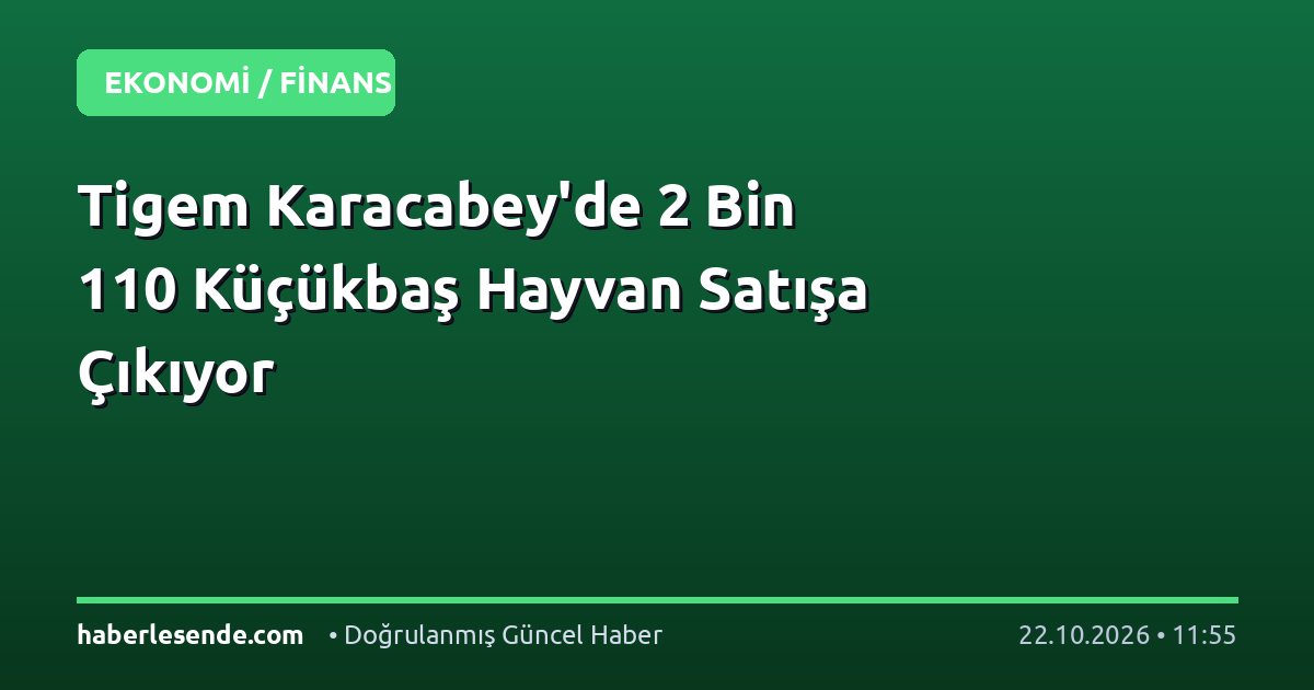 Tigem Karacabey'de 2 Bin 110 Küçükbaş Hayvan Satışa Çıkıyor