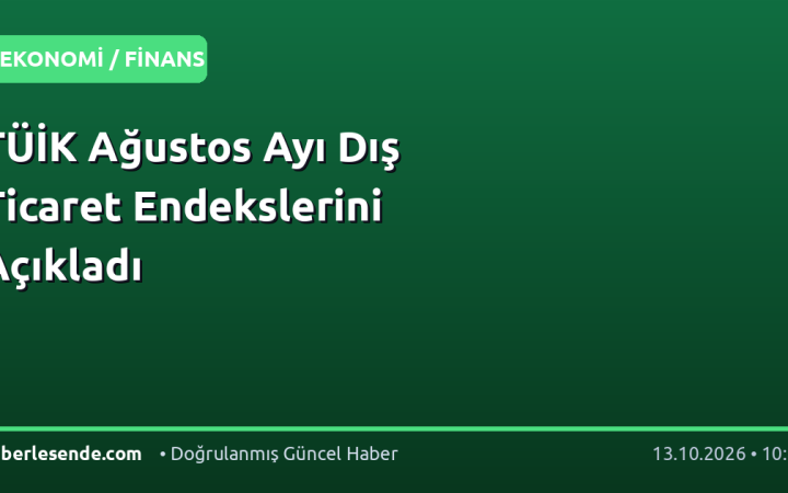 TÜİK Ağustos Ayı Dış Ticaret Endekslerini Açıkladı
