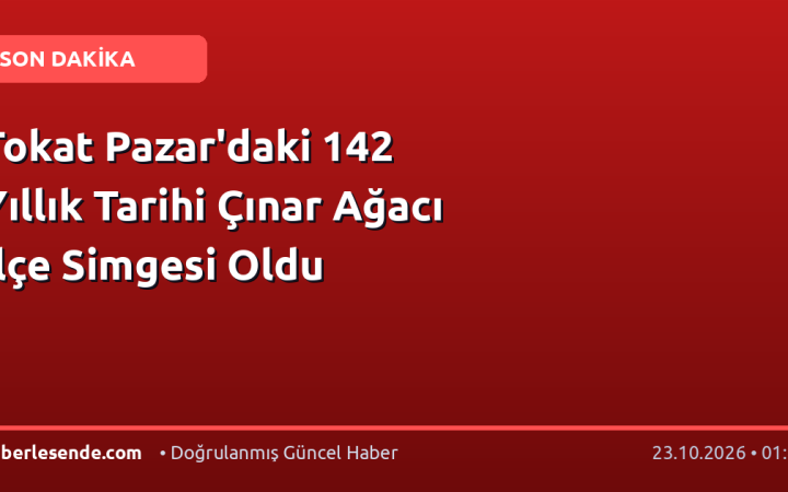 Tokat Pazar'daki 142 Yıllık Tarihi Çınar Ağacı İlçe Simgesi Oldu