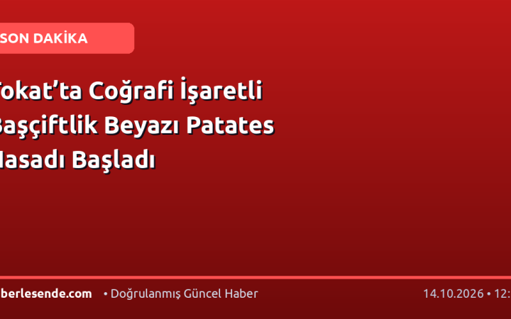 Tokat’ta Coğrafi İşaretli Başçiftlik Beyazı Patates Hasadı Başladı
