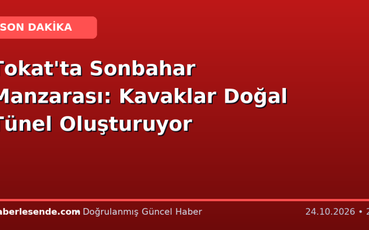 Tokat'ta Sonbahar Manzarası: Kavaklar Doğal Tünel Oluşturuyor