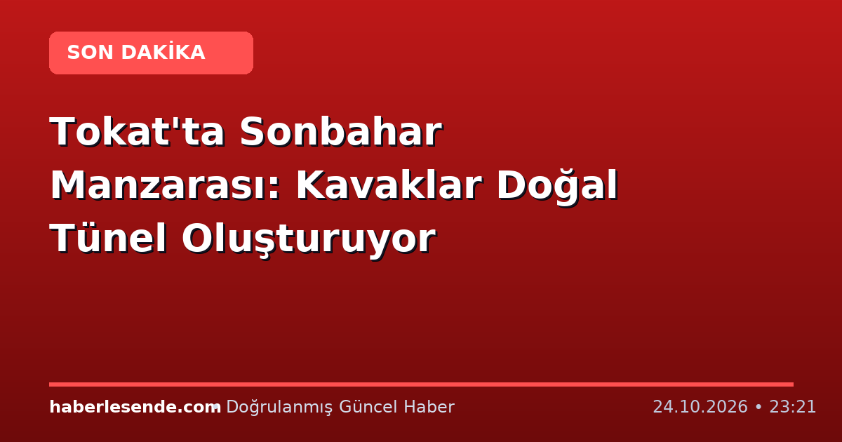 Tokat'ta Sonbahar Manzarası: Kavaklar Doğal Tünel Oluşturuyor