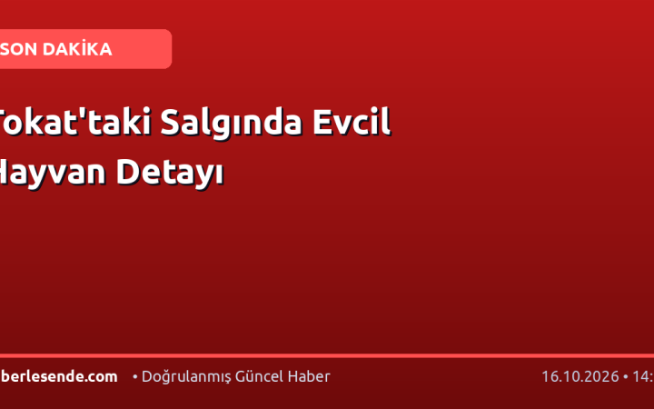 Tokat'taki Salgında Evcil Hayvan Detayı