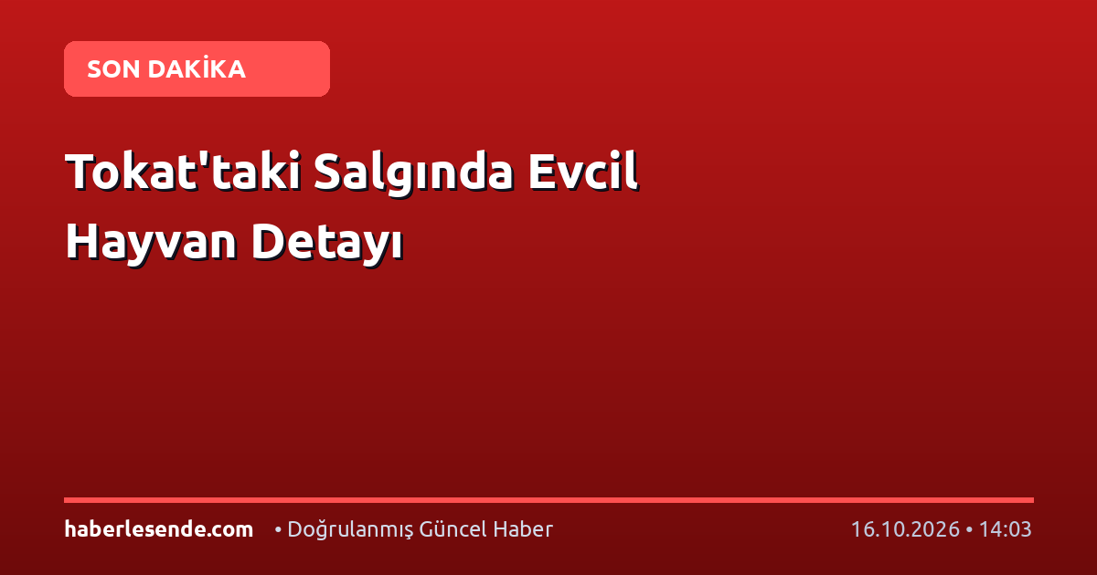 Tokat'taki Salgında Evcil Hayvan Detayı