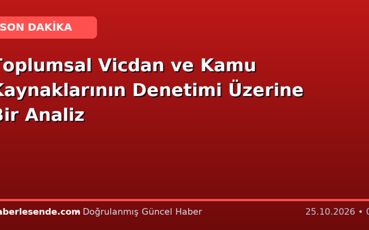 Toplumsal Vicdan ve Kamu Kaynaklarının Denetimi Üzerine Bir Analiz