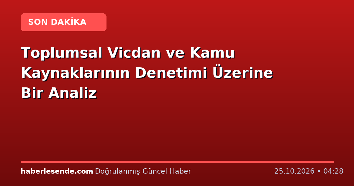 Toplumsal Vicdan ve Kamu Kaynaklarının Denetimi Üzerine Bir Analiz
