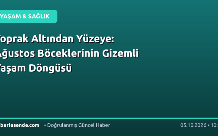Toprak Altından Yüzeye: Ağustos Böceklerinin Gizemli Yaşam Döngüsü