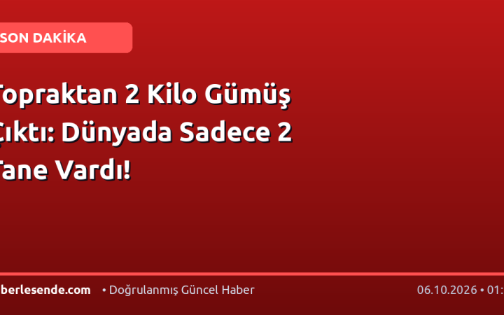 Topraktan 2 Kilo Gümüş Çıktı: Dünyada Sadece 2 Tane Vardı!