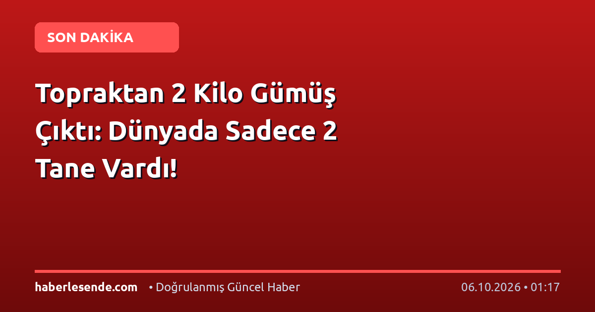 Topraktan 2 Kilo Gümüş Çıktı: Dünyada Sadece 2 Tane Vardı!