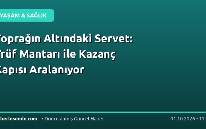 Toprağın Altındaki Servet: Trüf Mantarı ile Kazanç Kapısı Aralanıyor