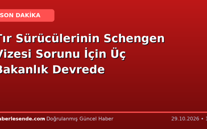 Tır Sürücülerinin Schengen Vizesi Sorunu İçin Üç Bakanlık Devrede