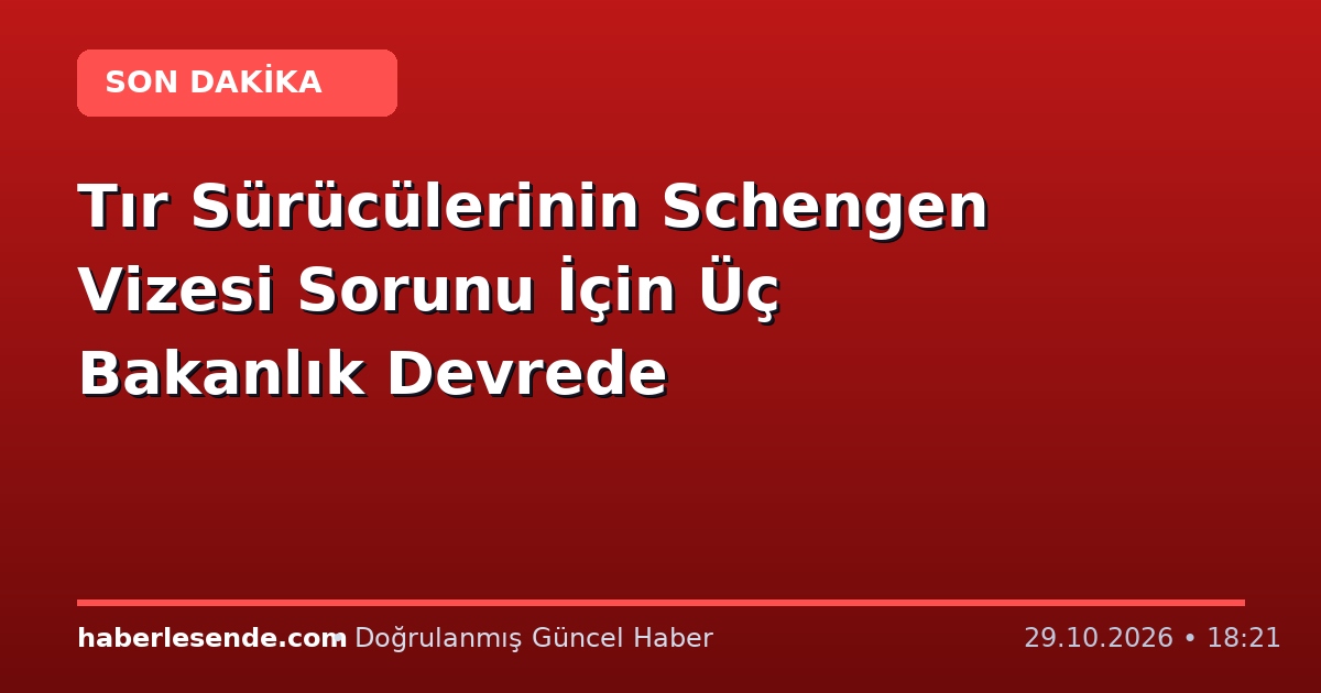 Tır Sürücülerinin Schengen Vizesi Sorunu İçin Üç Bakanlık Devrede