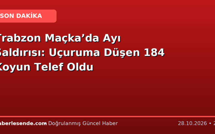 Trabzon Maçka’da Ayı Saldırısı: Uçuruma Düşen 184 Koyun Telef Oldu