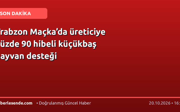 Trabzon Maçka’da üreticiye yüzde 90 hibeli küçükbaş hayvan desteği