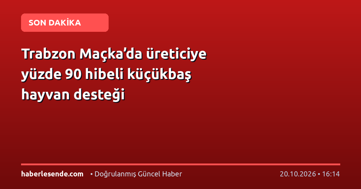 Trabzon Maçka’da üreticiye yüzde 90 hibeli küçükbaş hayvan desteği