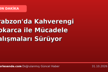 Trabzon'da Kahverengi Kokarca ile Mücadele Çalışmaları Sürüyor
