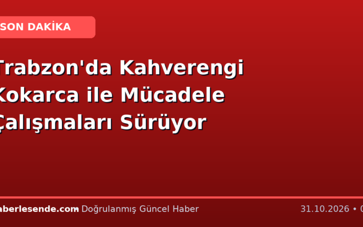 Trabzon'da Kahverengi Kokarca ile Mücadele Çalışmaları Sürüyor