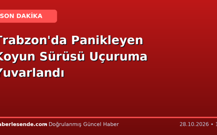 Trabzon'da Panikleyen Koyun Sürüsü Uçuruma Yuvarlandı