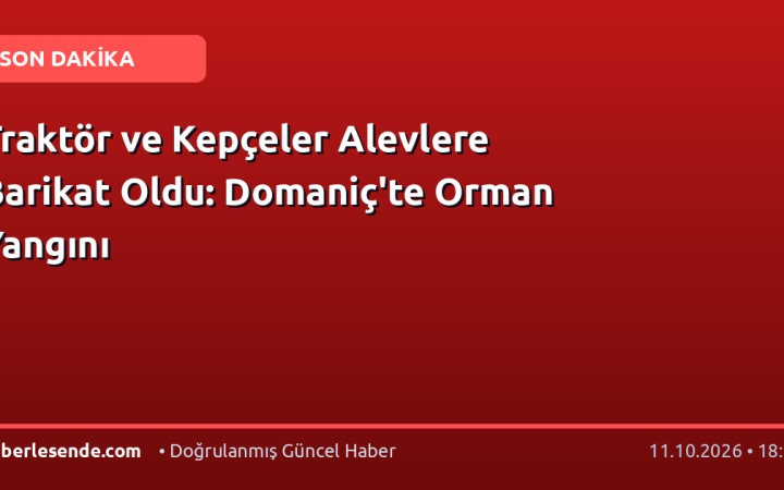 Traktör ve Kepçeler Alevlere Barikat Oldu: Domaniç'te Orman Yangını