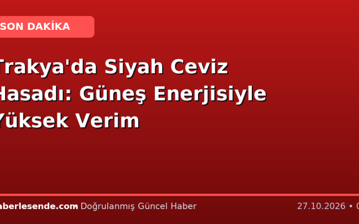 Trakya'da Siyah Ceviz Hasadı: Güneş Enerjisiyle Yüksek Verim