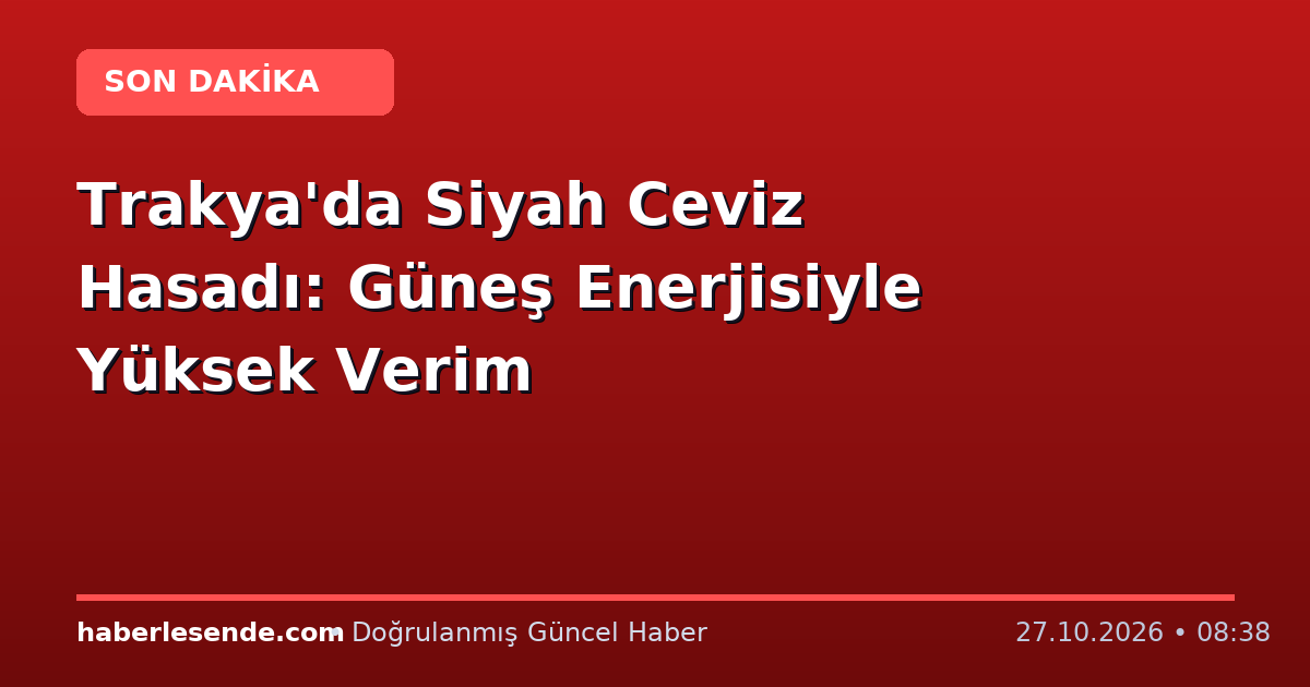 Trakya'da Siyah Ceviz Hasadı: Güneş Enerjisiyle Yüksek Verim