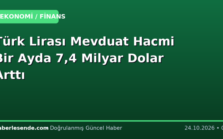 Türk Lirası Mevduat Hacmi Bir Ayda 7,4 Milyar Dolar Arttı