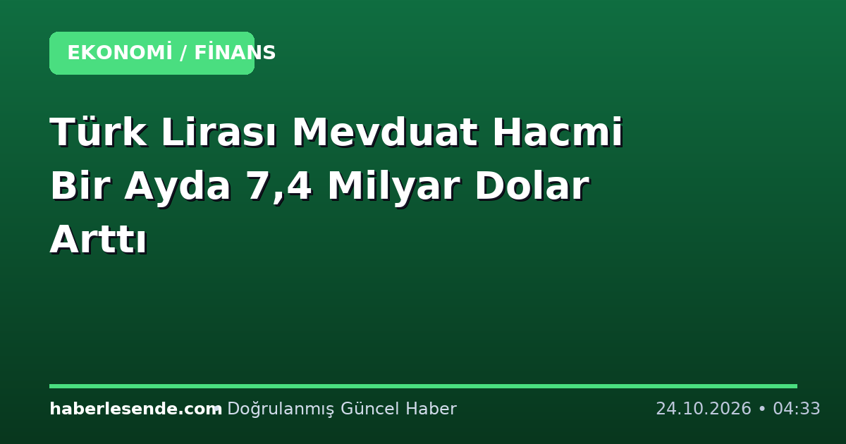 Türk Lirası Mevduat Hacmi Bir Ayda 7,4 Milyar Dolar Arttı
