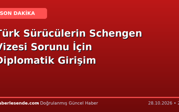 Türk Sürücülerin Schengen Vizesi Sorunu İçin Diplomatik Girişim