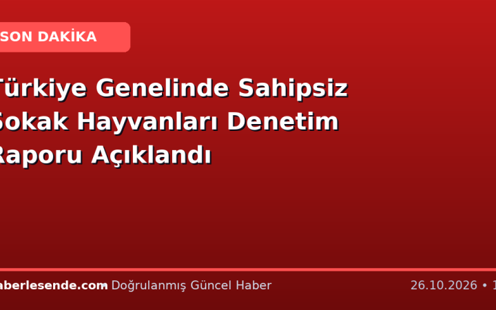 Türkiye Genelinde Sahipsiz Sokak Hayvanları Denetim Raporu Açıklandı