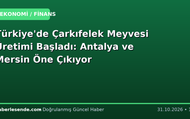 Türkiye'de Çarkıfelek Meyvesi Üretimi Başladı: Antalya ve Mersin Öne Çıkıyor