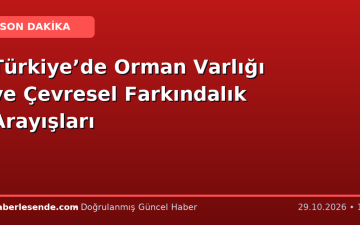 Türkiye’de Orman Varlığı ve Çevresel Farkındalık Arayışları