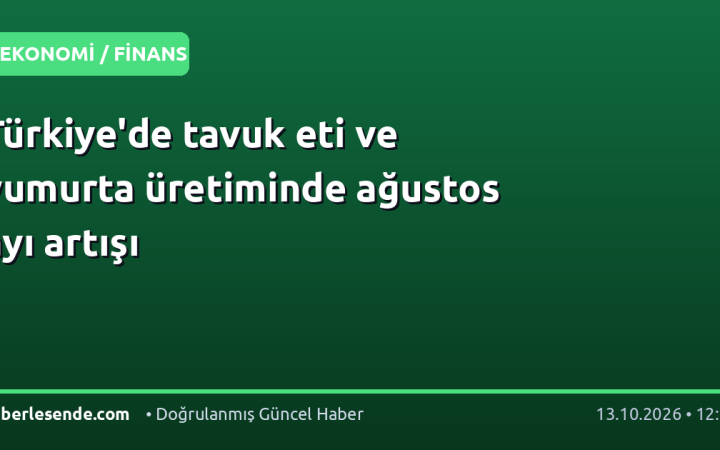 Türkiye'de tavuk eti ve yumurta üretiminde ağustos ayı artışı