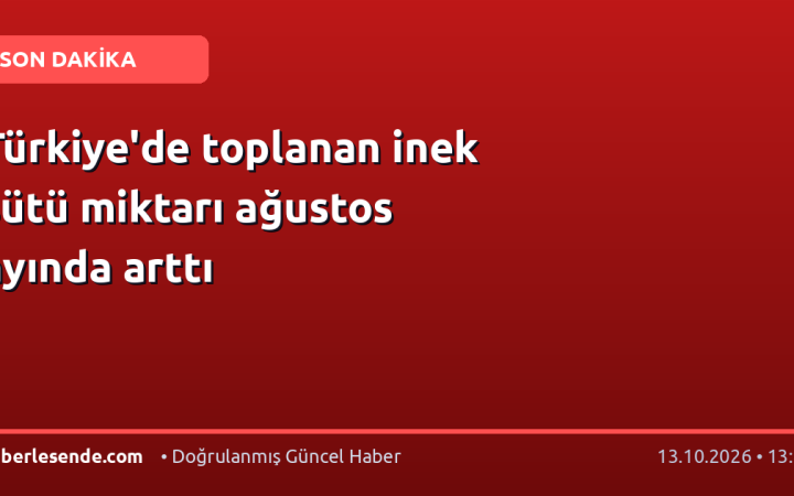 Türkiye'de toplanan inek sütü miktarı ağustos ayında arttı