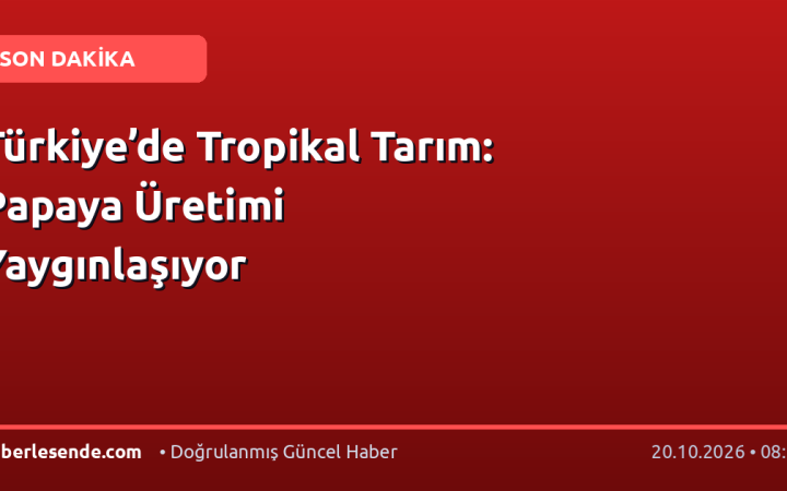 Türkiye’de Tropikal Tarım: Papaya Üretimi Yaygınlaşıyor