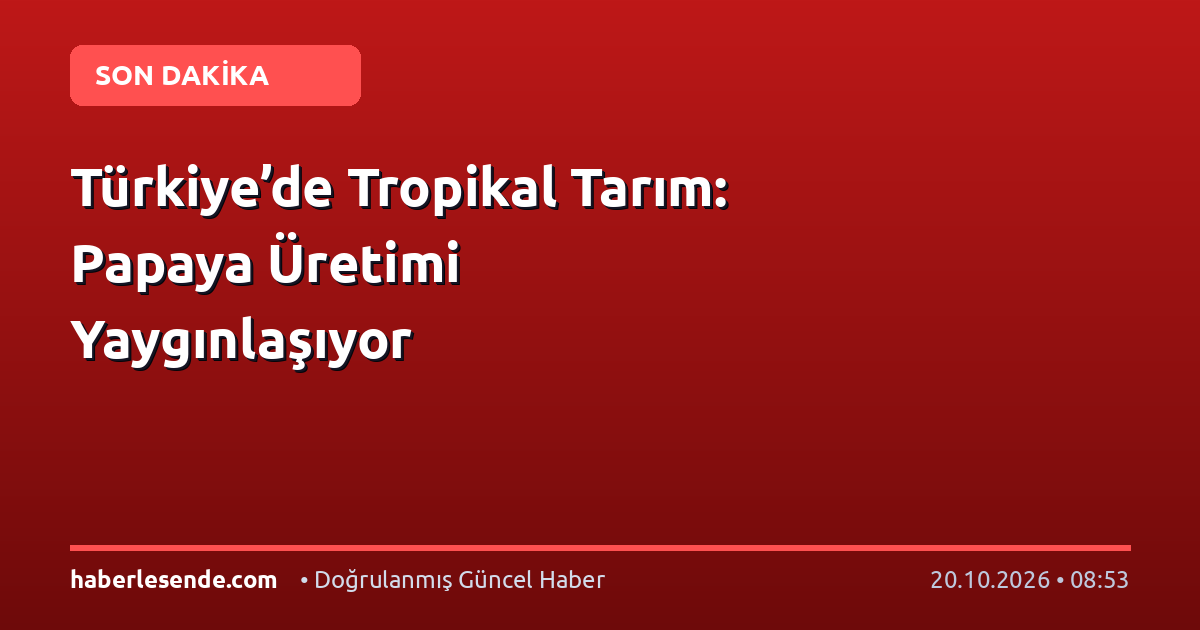Türkiye’de Tropikal Tarım: Papaya Üretimi Yaygınlaşıyor