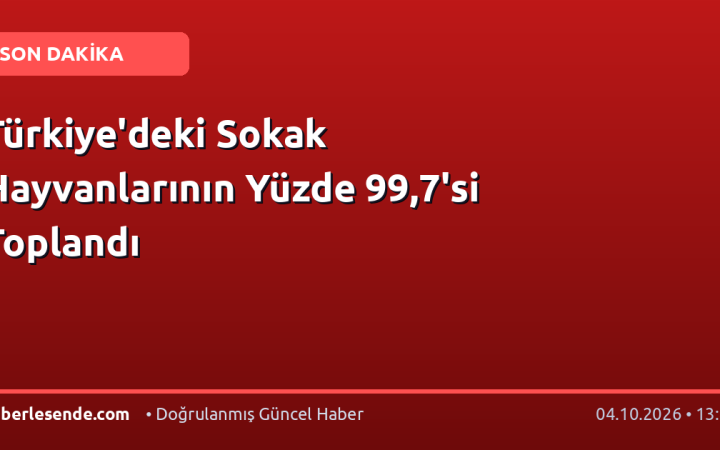 Türkiye'deki Sokak Hayvanlarının Yüzde 99,7'si Toplandı