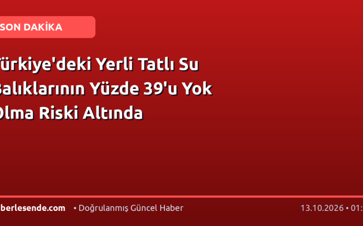 Türkiye'deki Yerli Tatlı Su Balıklarının Yüzde 39'u Yok Olma Riski Altında