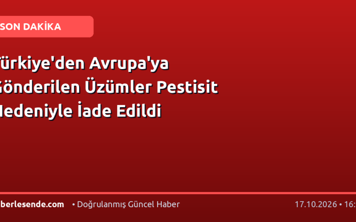 Türkiye'den Avrupa'ya Gönderilen Üzümler Pestisit Nedeniyle İade Edildi